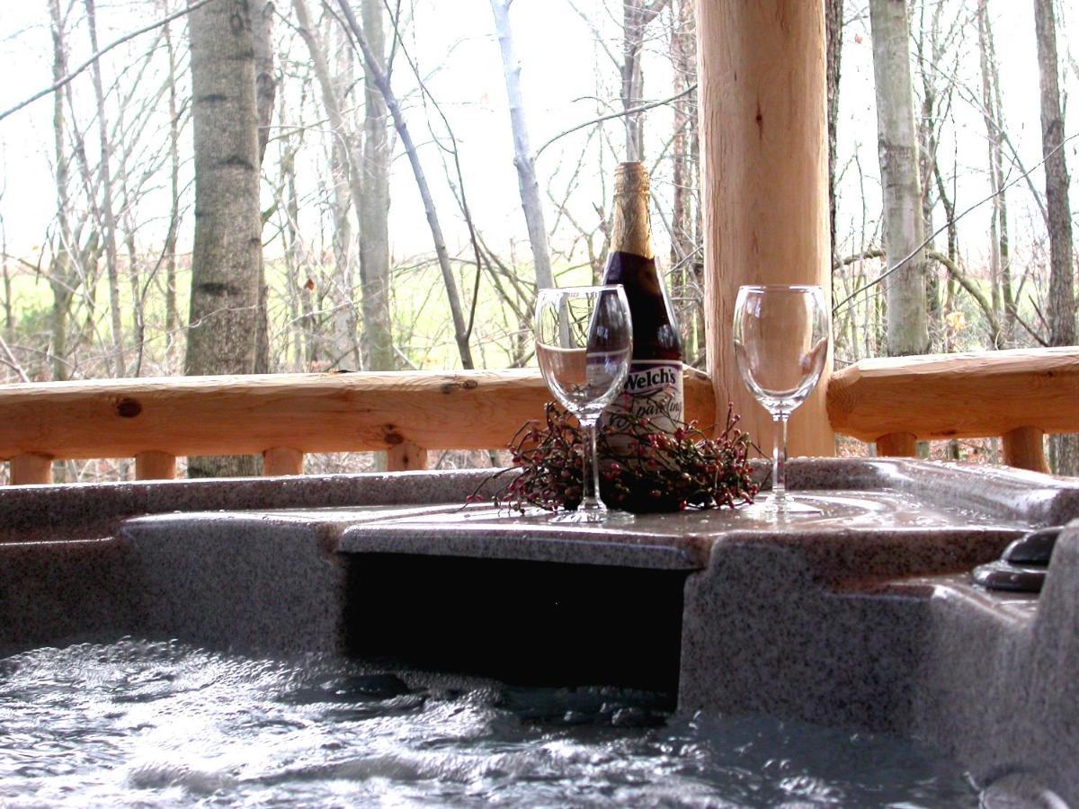 Wild Rose Cabin By Amish Country Lodging 밀러스버그 외부 사진